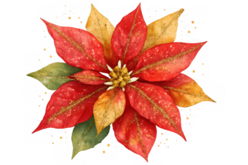 Poinsettia watercolor bringing festive holiday cheer, red and gold christmas flower with glitter on transparent background