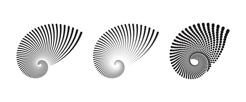 An intricate spiral logo inspired by the nautilus shell, featuring a fractal art design with golden ratio line art