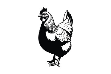 Detailed black and white illustration of a standing hen