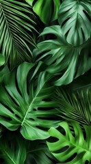 Fototapeta premium Close up of vibrant green tropical leaves showing monstera and palm fronds. Natural wallpaper background for botanical design elements and tropical theme.