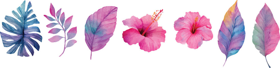 pink and yellow feathers