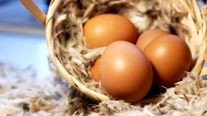 Brown farm chicken eggs and feathers.