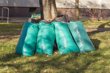 Zielone worki z zgrabionymi liśćmi ustawione przy drzewie w parku jesienią.