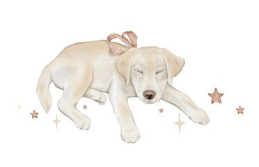 Composition with stars and character beige yellow puppy dog isolated on background. Hand drawn illustration sketch Labrador sleeping and a red bow around his neck.