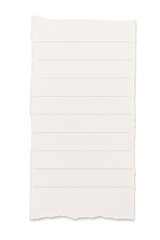 A torn piece of lined paper with a rough edge isolated on transparent background