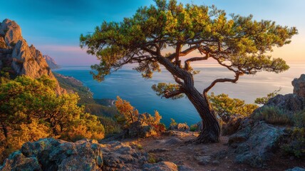 Majestic old tree on rocky mountain overlooking blue sea at sunrise with vibrant green leaves, golden morning sky, and lush summer forest landscape