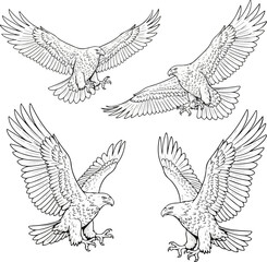 Majestic Eagles in Dynamic Motion – Detailed Vector Line Art