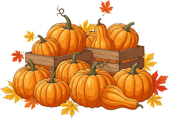 Detailed Vector Illustration of Autumn Pumpkin Harvest Display