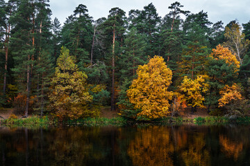 Autumn trees with colorful foliage reflected on tdark water surface of a lake. Scenic fall landscape for nature background.