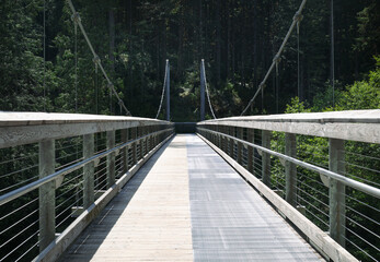 Suspension bridge in forest. Summer hiking trail for pedestrian and mountain biking. Seymour River suspension bridge, Twin Bridge Trail in North Vancouver, BC, Canada. Selective focus.