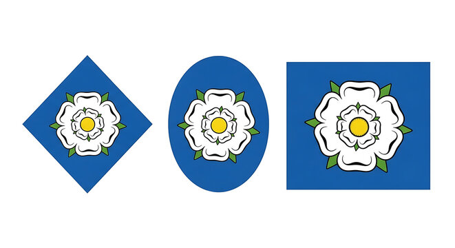 Three white roses with yellow centers on blue backgrounds in different shapes isolated on white background