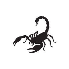 Scorpion isolated on white background, a predatory arachnid with a segmented tail tipped with a venomous stinger, known for its nocturnal habits