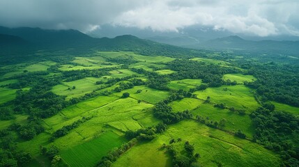 Fototapeta premium Farm landscape with tilled field turning into meadow