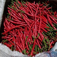 photo of hot red chilies