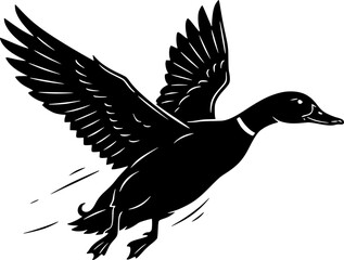 duck vector illustration