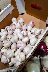 Fresh garlic bulbs and onions arranged in a cardboard box at a local market, perfect for cooking and flavoring dishes
