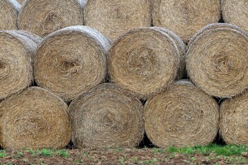 Stacked Round Hay Bales in a Rural Field © JAROSLAW PIWOWARSKI