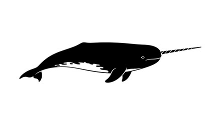 Silhouette of a narwhal whale with its iconic tusk swimming gracefully isolated on white background