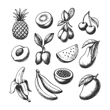 Hand-drawn black and white sketchy vector set of various tropical and fresh fruits, including pineapple, mango, and banana, perfect for healthy food menus, juice labels, and summer design.