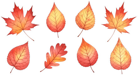 Obraz premium Collection of eight vibrant watercolor painted autumn leaves in shades of red orange and yellow