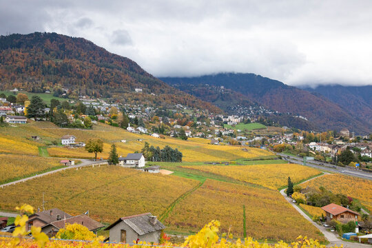 Autumn landscape, Chailly village, Switzerland