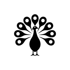 Black peacock with patterned feathers on transparent background silhouette