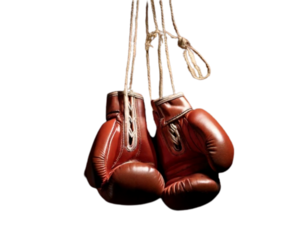 Vintage Hanging Boxing Gloves on Brick Wall