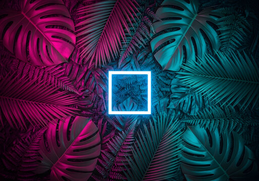 Creative fluorescent color layout made of tropical leaves with neon light square. Flat lay. Nature concept.