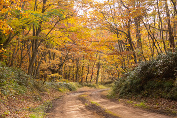 秋と山道