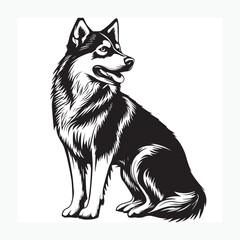 wolf vector illustration
