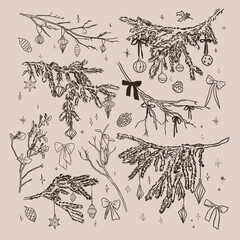 Hand drawn sketch elegant delicate spruce winter Christmas branches