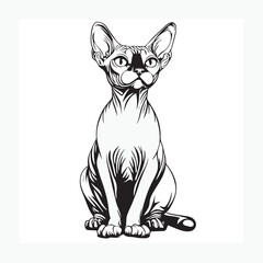 sphynx cat cartoon