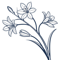 triteleia ixioides with leaves