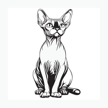 sphynx cat cartoon