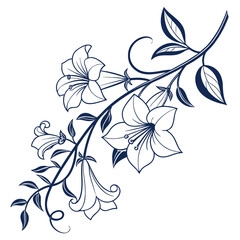 thunbergia grandiflora vector