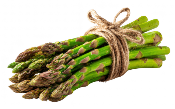 Fresh asparagus bundle with natural texture, isolated on transparent background, realistic lighting, healthy food concept
