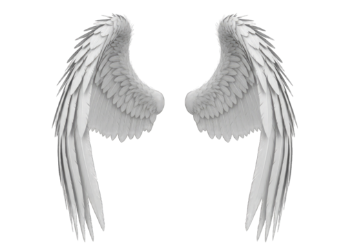 A pair of soft, fluffy white angel wings, isolated on transparent background