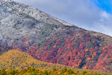 初雪の飯綱山と山麓の紅葉
