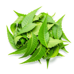 Pile of fresh neem leaves isolated on white background, top view flat lay , ai generated image.