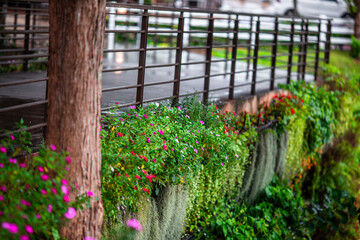Flower garden landscape background, garden decoration in cafes and restaurants, for beauty and a photo corner for customers to relax and unwind their eyes.