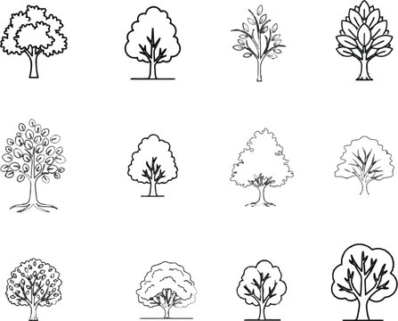 Diverse line art tree collection, a minimalistic illustration design for ecological themes