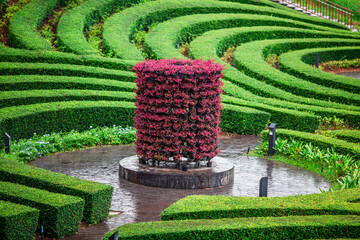 Flower garden landscape background, garden decoration in cafes and restaurants, for beauty and a photo corner for customers to relax and unwind their eyes.