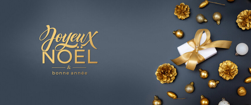 Joyeux noel and Bonee Annee. French Merry Christmas Modern calligraphy lettering on sticker for season greetings. Greeting card, frame, and banner. Holidays design.