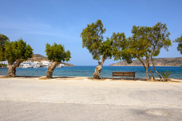 Tamarisk trees on the seashore in Katapola on the island of Amorgos. Greece