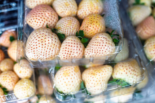 Fresh White Strawberries (Pineberries) in Plastic Packaging