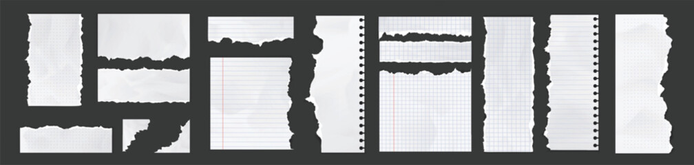 Notebook pages and paper sheets with torn edges