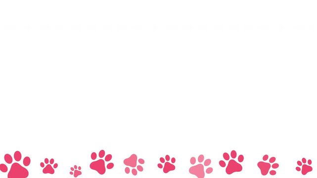 Cute animal footprint pink paw print border pattern animated video