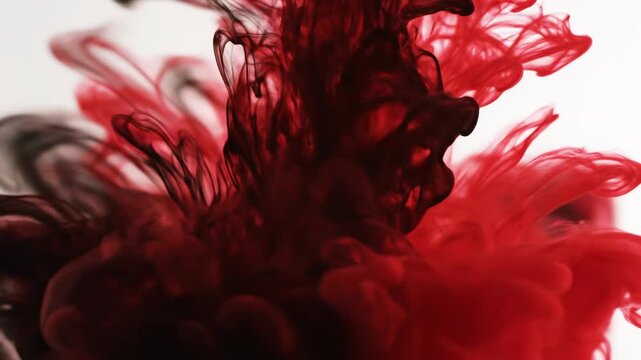 Ink Fusion: Mesmerizing dance of scarlet and ebony inks colliding in water, forming abstract art