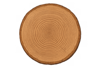 Wood log section showing growth rings for deforestation, nature, and renewable energy concepts with transparent background