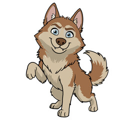 Cheerful siberian